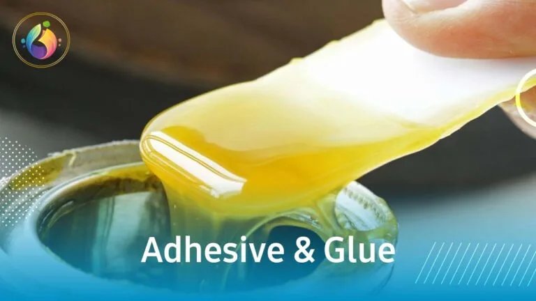 Adhesive & Glue